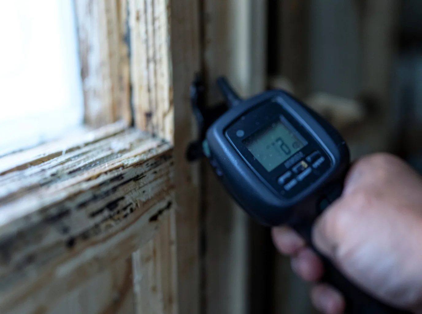 Moisture Inspection And Documentation in East Tawas, MI